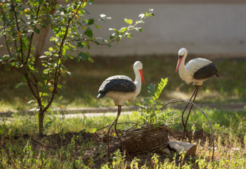 36 центров поддержки для детей-сирот появилось в Казахстане