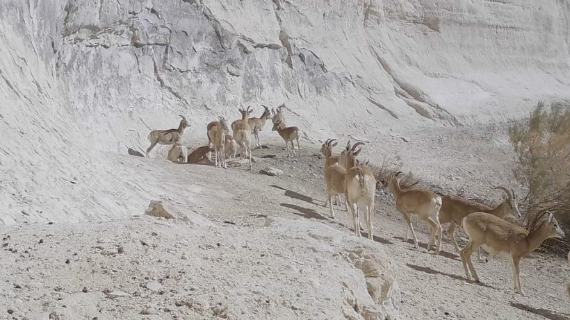  «Қызылсай» мемлекеттік  өңірлік табиғи паркі 