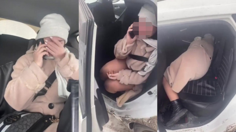  видеодан кадр 