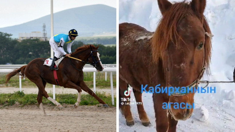  Скриншот видео 