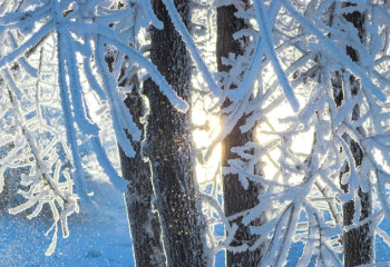 Қазақстанда ақпан айында ауа райы қандай болады