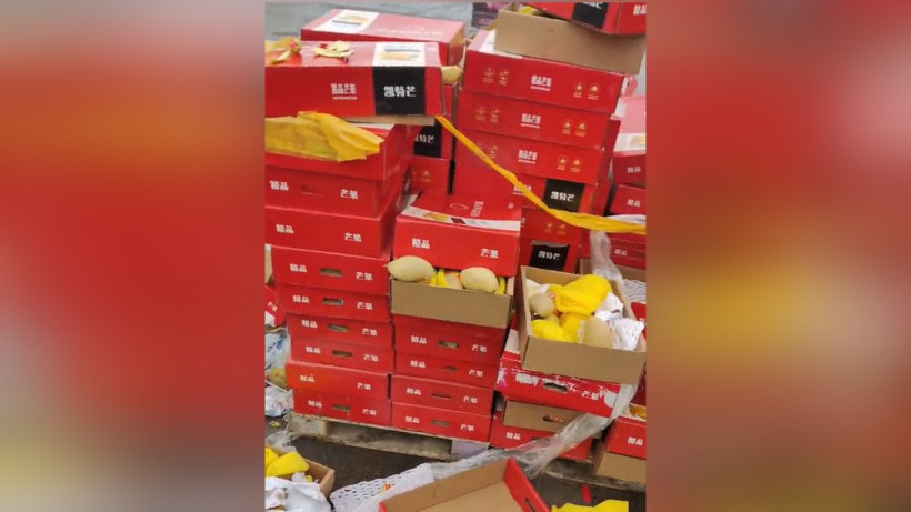  Кадр из видео 