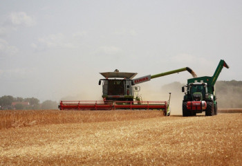 Kazakhstan allocates 4 bln tenge for locust control in 2024