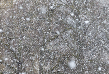 2 ақпанға арналған ауа райы болжамы