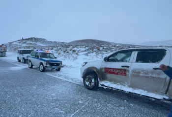 Жамбылскую область заметает снегом: акимат сделал заявление