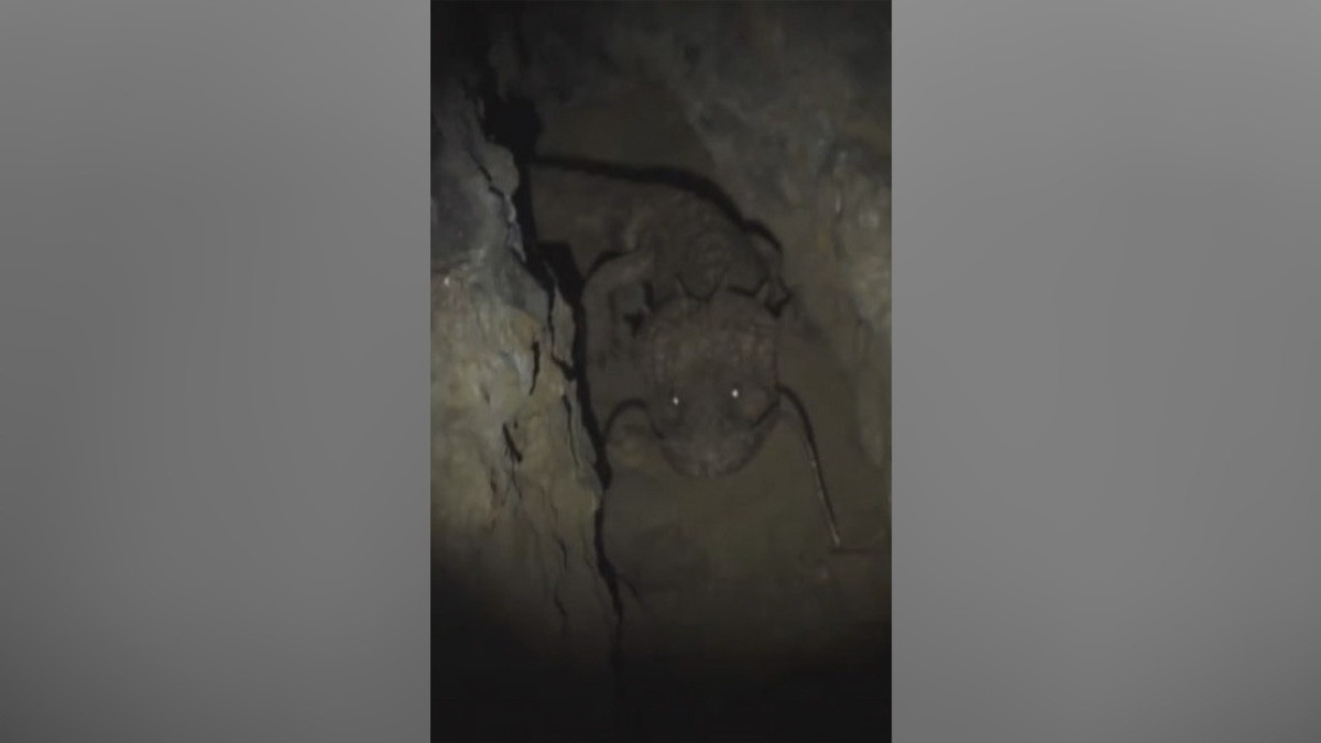  Кадр из видео 