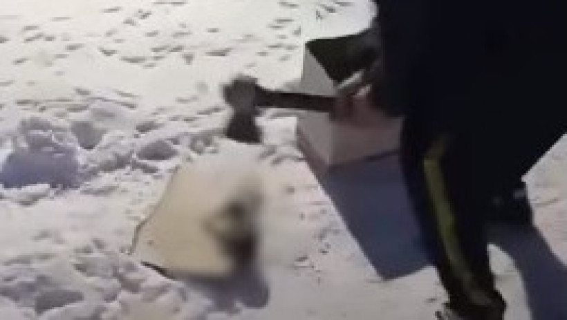  Кадр из видео 