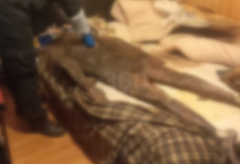 Женщина четыре года прожила с мумией супруга вместе с четырьмя детьми