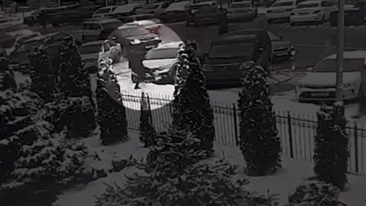  Видеодан кадр 