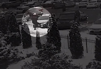 Адам құқықтары жөніндегі уәкіл Шымкенттегі қыз алып қашуға қатысты пікір білдірді