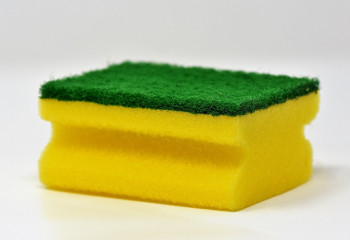 Плесень и кишечная палочка – содержащий эти бактерии предмет есть на каждой кухне