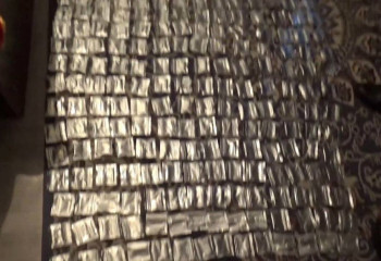 В съемной квартире Тараза собака Мерри нашла тайники с тремя тысячами доз мефедрона