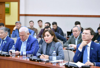 Мәжіліс әйелдердің құқықтары мен балалардың қауіпсіздігін қамтамасыз ету туралы заң жобасына түзету енгізеді