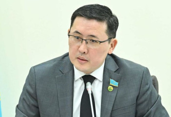 Мажилисмен: домашнее насилие начинается из-за длинного языка женщины