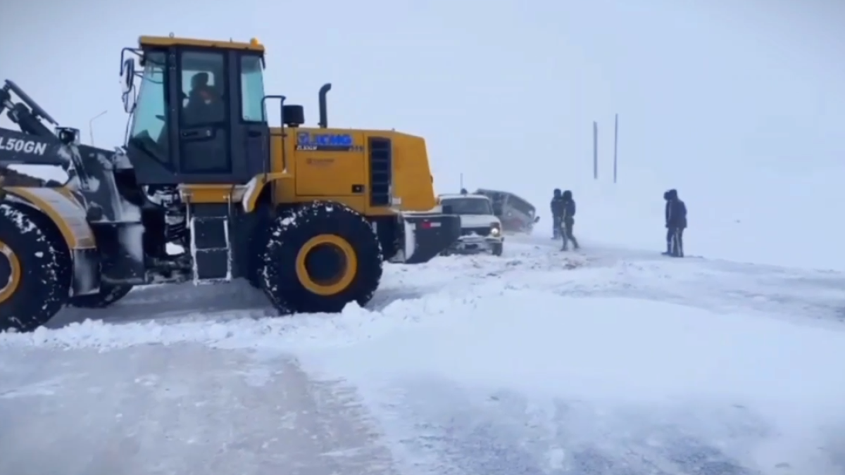  Видеодан алынған кадр 