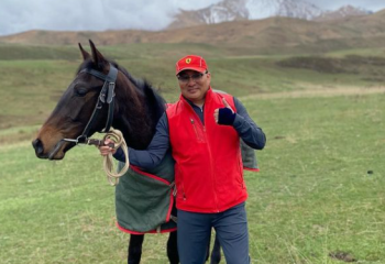 Тоқтар Серіков қанша жылқысы барын айтты