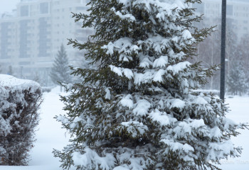 Ертең Қазақстанның бірқатар аймағында қалың қар жауады