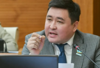 Смайыловтың Үкіметіне батылдық жетпеген бе? Депутат жауап берді