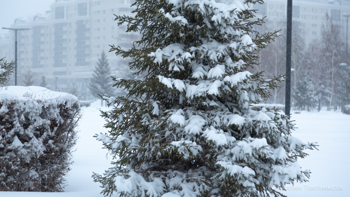  ©El.kz/Жалгасбек ТОКТАМЫСОВ 