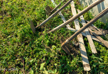 Казахстанец рассказал о том можно ли в Англии на ферме зарабатывать 1.5 млн тенге в месяц