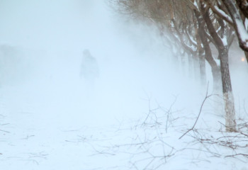 Боран салдарынан жолда қалғандарға нан 1300 теңгеден сатылған