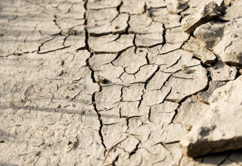 «Ахуалды жақсарту үшін батыл әрекет қажет». Президент құрғақшылық қаупі туралы