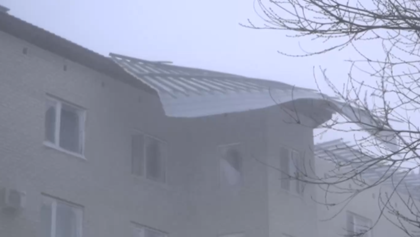  Видеодан кадр 