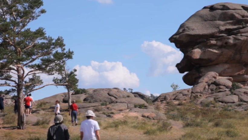  Видеодан кадр 