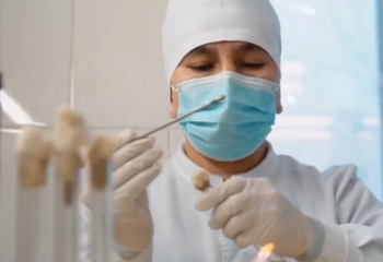 Ғалымдар аусыл ауруының пайда болу себептерін зерттеді