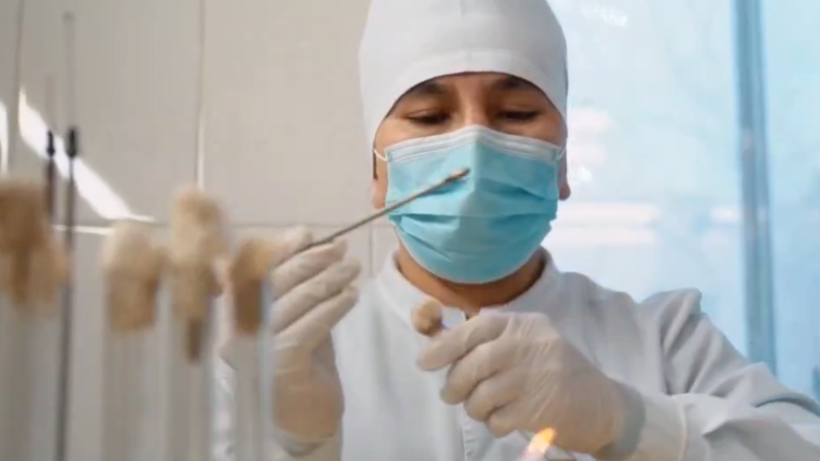  Видеодан кадр 