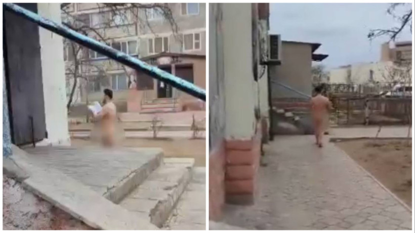  Видеодан кадр 