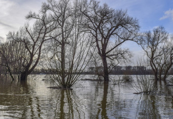 Бұзылған бөгеттерді қалпына келтіру бойынша жобалау-сметалық құжаттама әзірленді - Ернұр Әйткенов