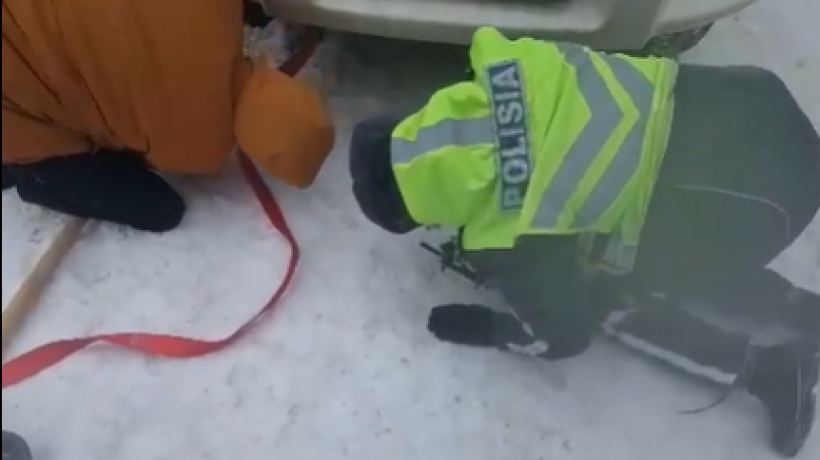  Видеодан алынған кадр 