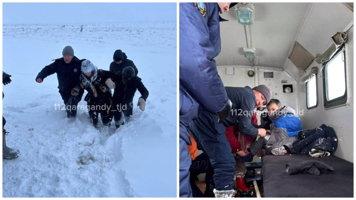  Видеодан кадр 