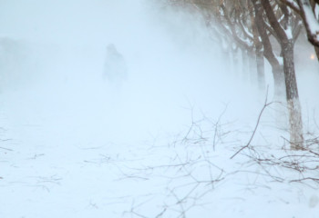 Түркістан облысында боранда жоғалған екі азаматтың бірі өлі табылды