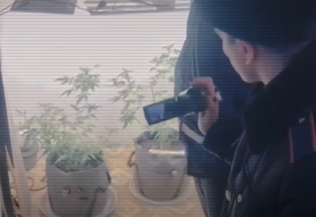 Облаву на наркоторговцев устроила казахстанская полиция