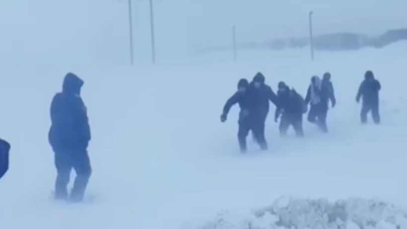  Видеодан кадр 