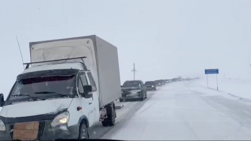  Видеодан кадр 