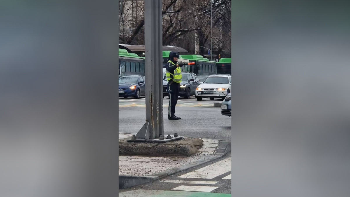  Видеодан кадр 