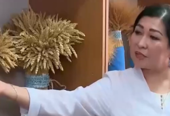 Қызылордалық ғалым арпа мен бидайдың жаңа сұрпын шығарды