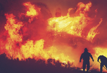 Былтыр елімізде 810 орман өрті тіркелген