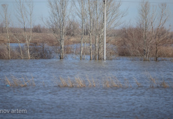 Абай облысында ауылдарды су басып жатыр