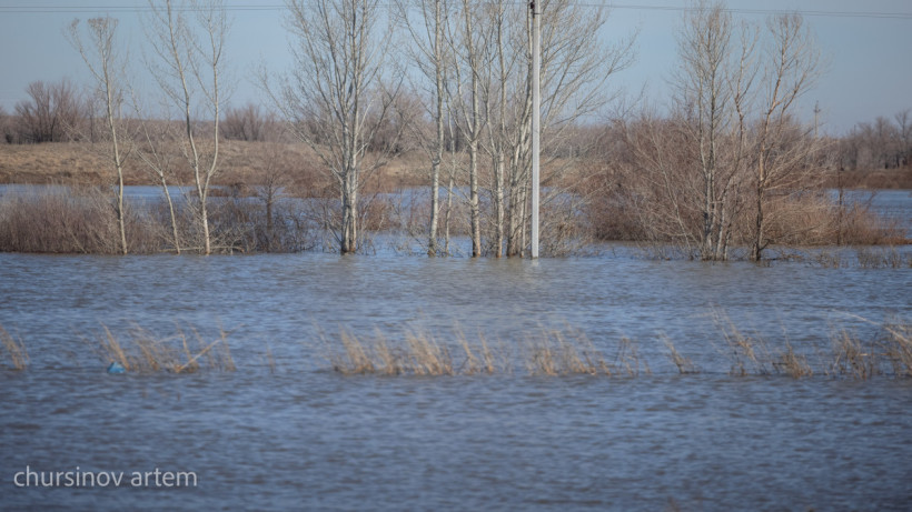  ©El.kz/Артем ЧУРСИНОВ 
