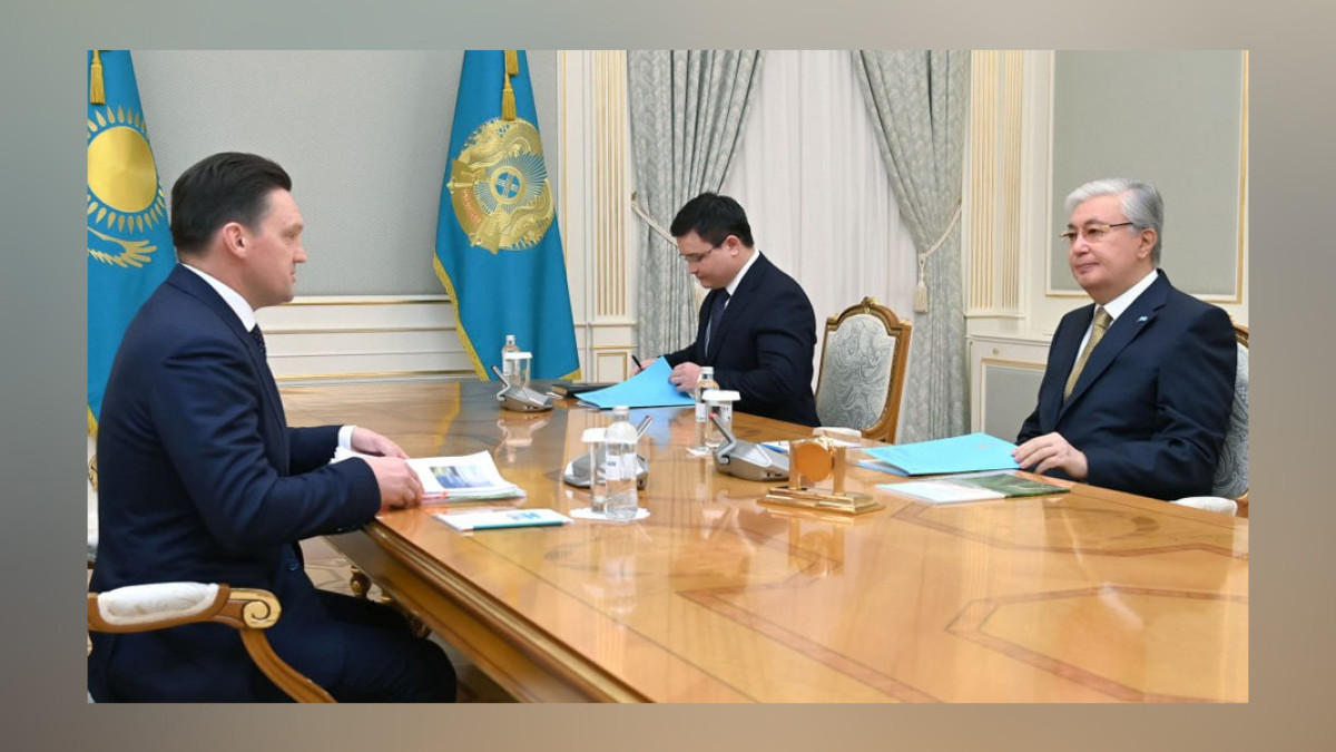 Президент принял председателя правления Евразийского банка развития Николая Подгузова