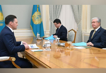 Президент принял председателя правления Евразийского банка развития Николая Подгузова