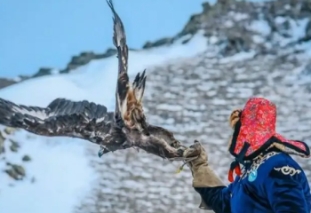 Құсбегіліктен Қазақстан чемпионаты мәресіне жетті