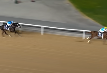 Миллион долларов предложили за казахского скакуна Кабирхана - владелец продавать отказался