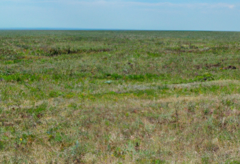 Как развивалась Западно-Казахстанская область в 2023 году