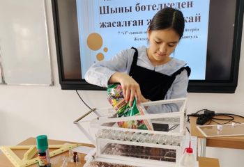 Ақмола облысында оқушы қалдық шыныдан жылыжай жасады