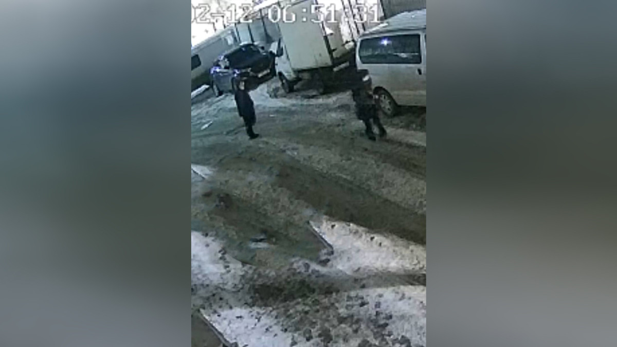  Видеодан кадр 